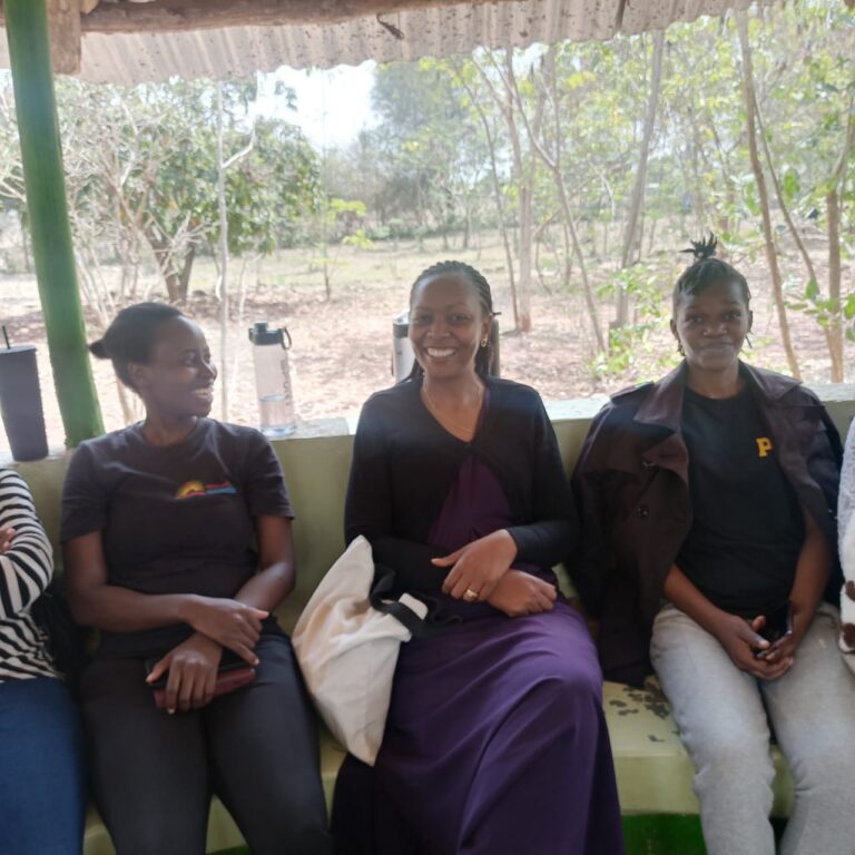 WhatsApp Image 2025-12-19 at 11.56