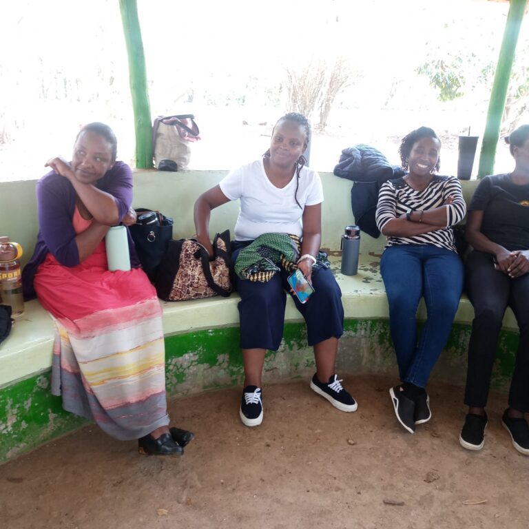 WhatsApp Image 2025-12-19 at 11.56