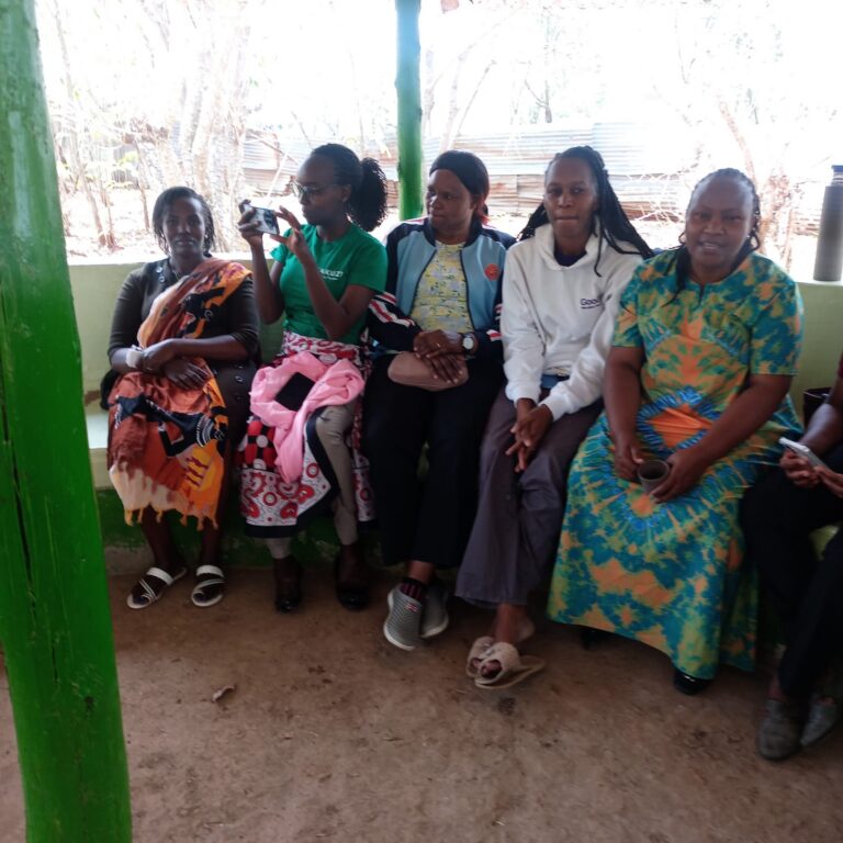 WhatsApp Image 2025-12-19 at 11.56