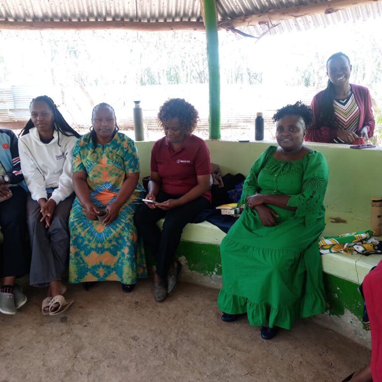 WhatsApp Image 2025-12-19 at 11.56