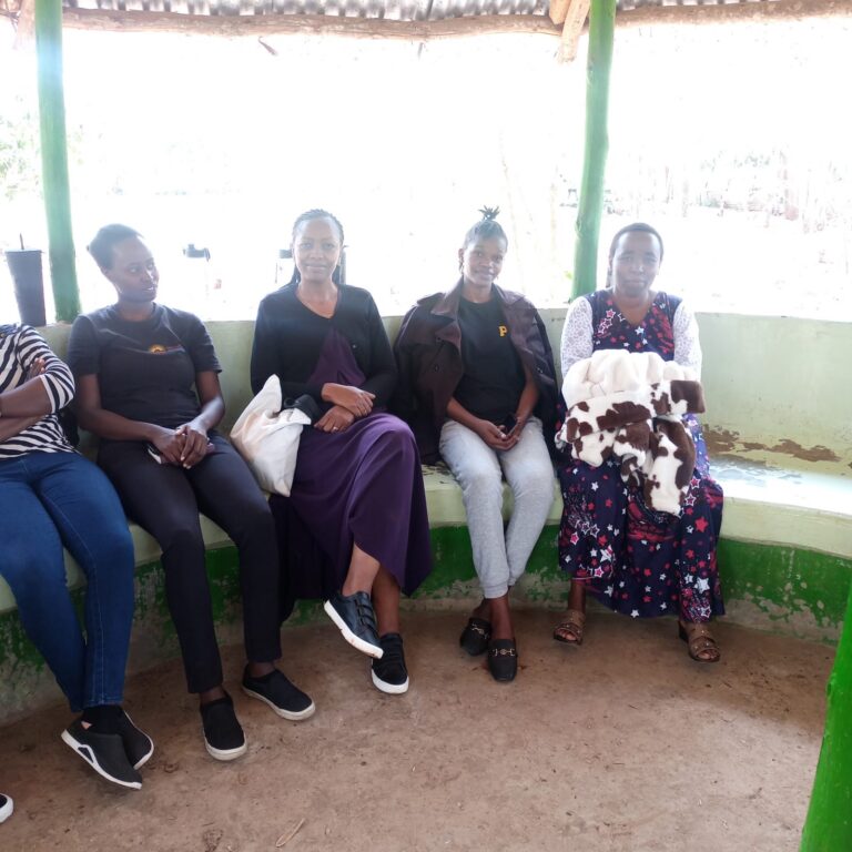 WhatsApp Image 2025-12-19 at 11.56